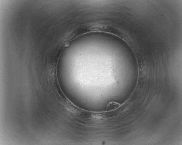 X0000067870753200604131236