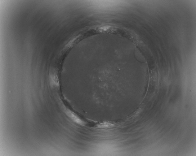 X0000067870754200604131236