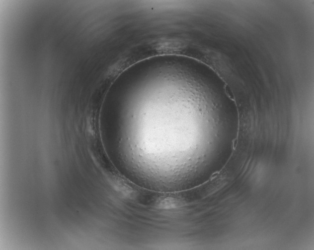 X0000067870755200604131236