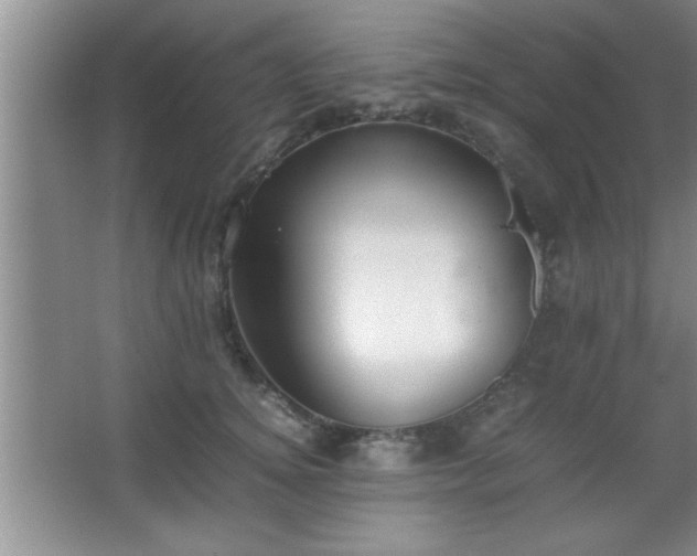 X0000067870756200604131236