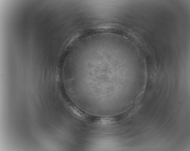 X0000067870758200604131236