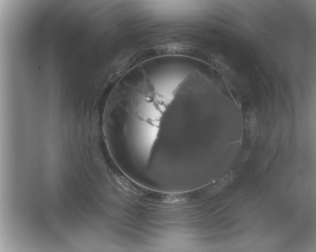 X0000067870760200604131236