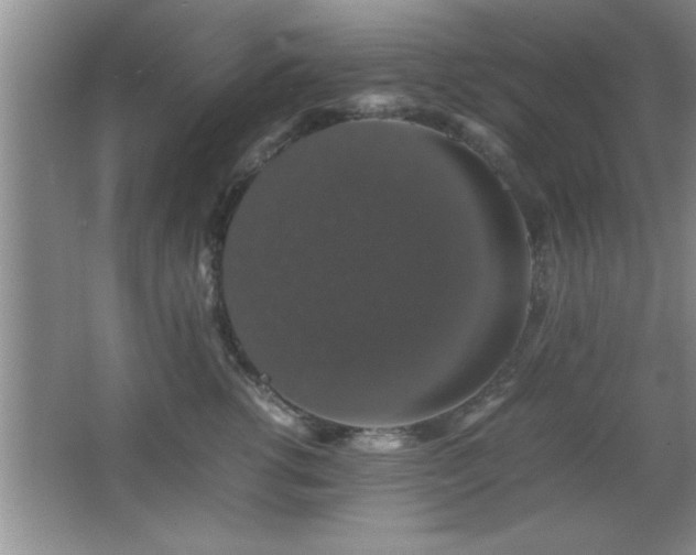 X0000067870762200604131236