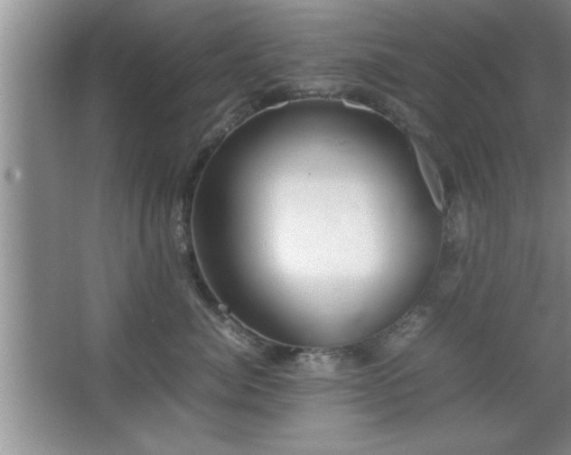 X0000067870764200604131236