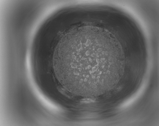 X0000067870765200604131236