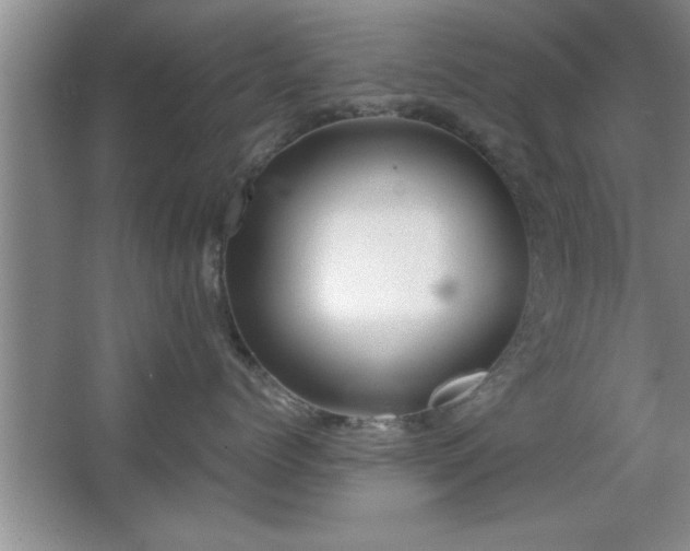 X0000067870768200604131236