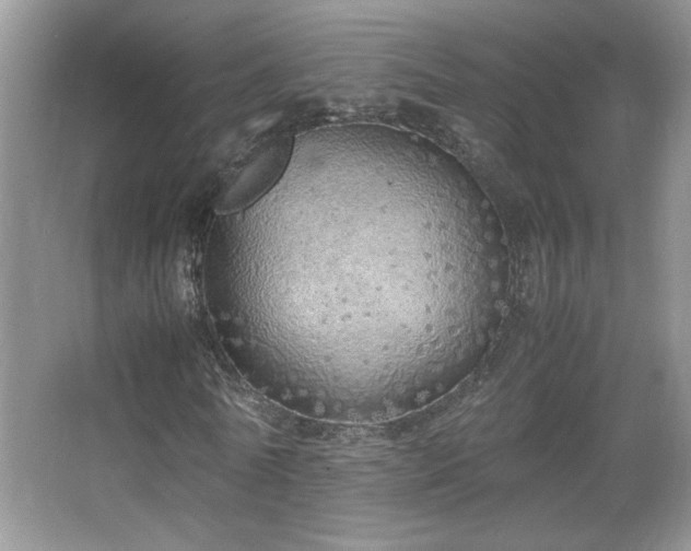 X0000067870770200604131235