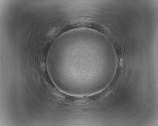 X0000067870771200604131235