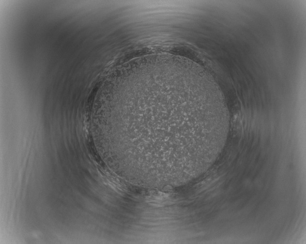 X0000067870772200604131235