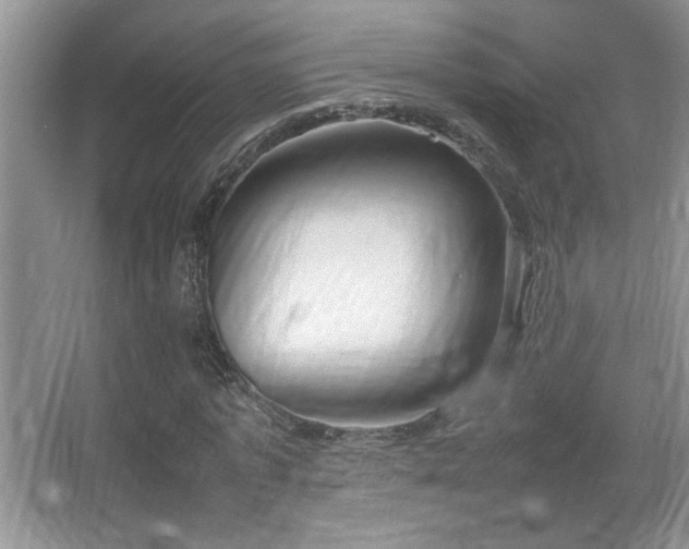 X0000067870773200604131235