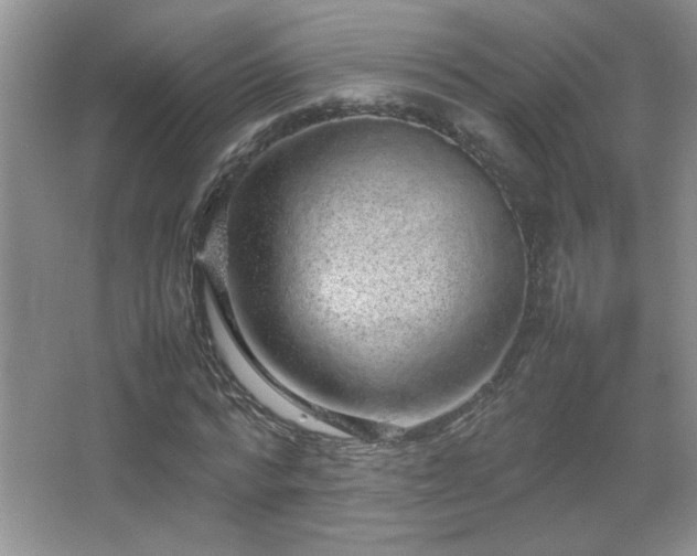 X0000067870776200604131235