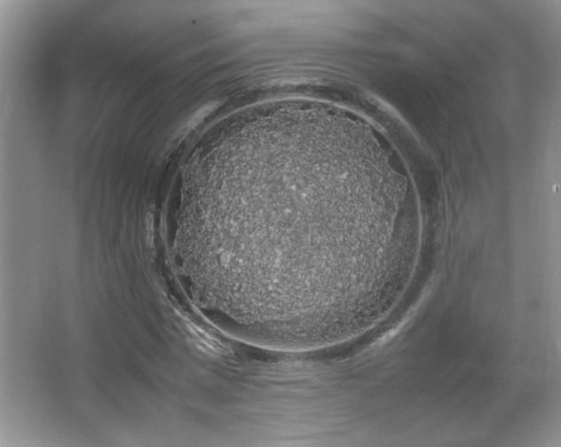 X0000067870777200604131235