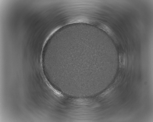 X0000067870780200604131235