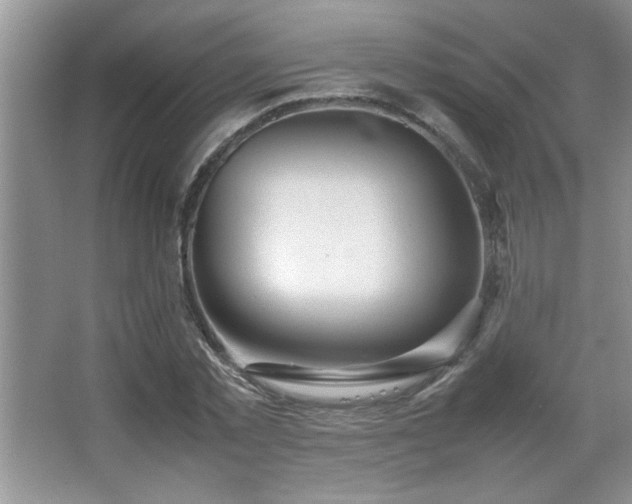 X0000067870781200604131235