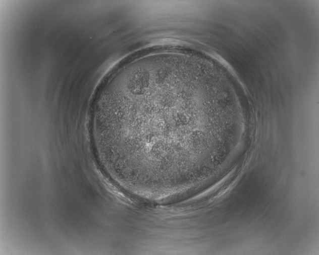 X0000067870783200604131235