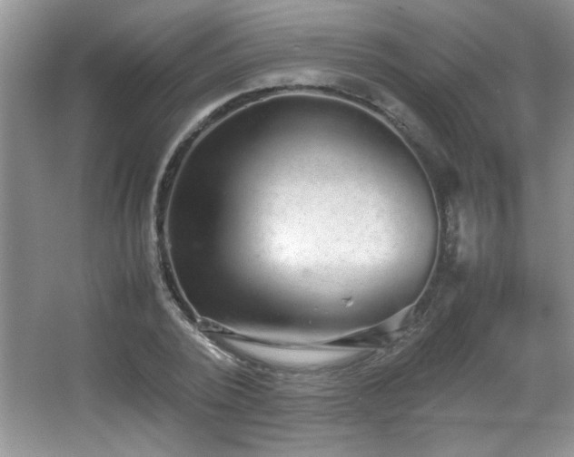 X0000067870784200604131235