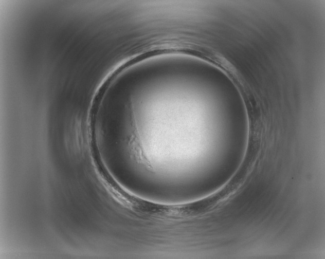 X0000067870787200604131235