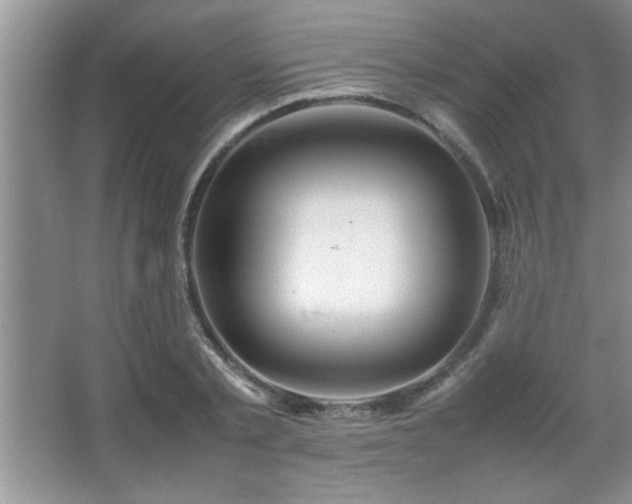 X0000067870789200604131235