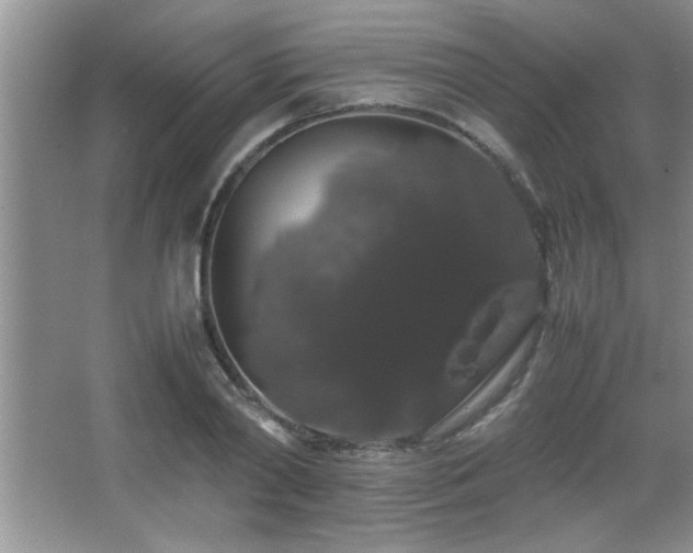 X0000067870790200604131235