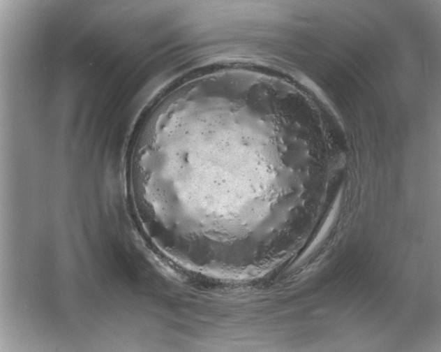 X0000067870791200604131235