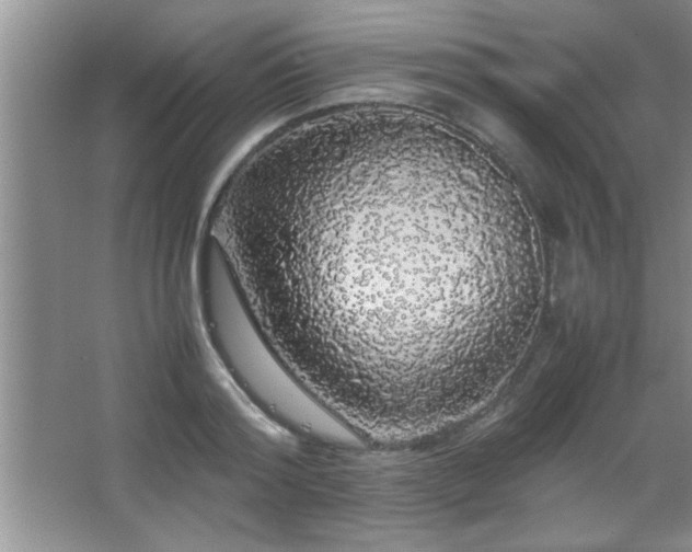 X0000067870796200604131235