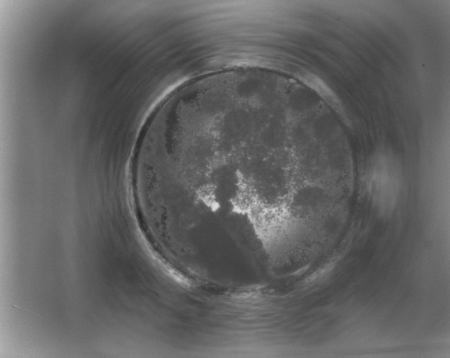 X0000067870798200604131235