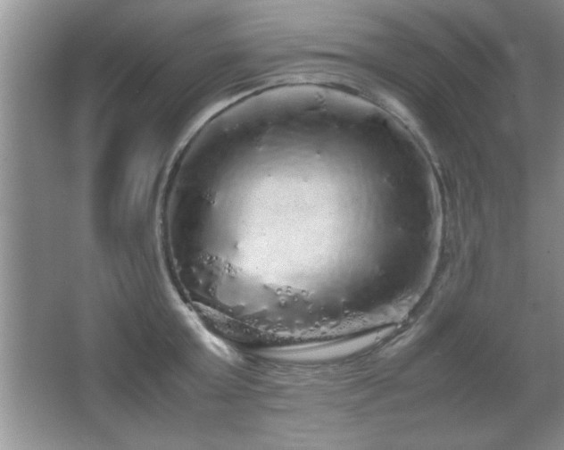 X0000067870803200604131235