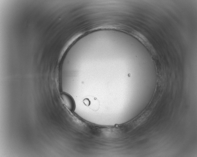 X0000067870804200604131235