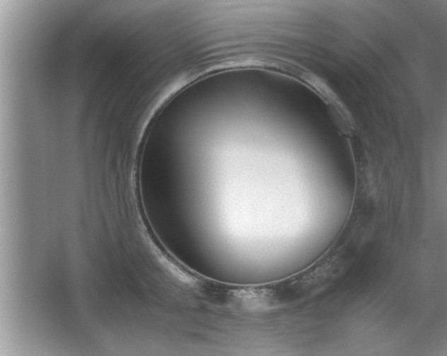 X0000067870805200604131235