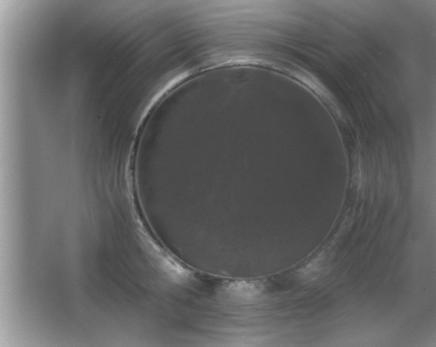 X0000067870806200604131235