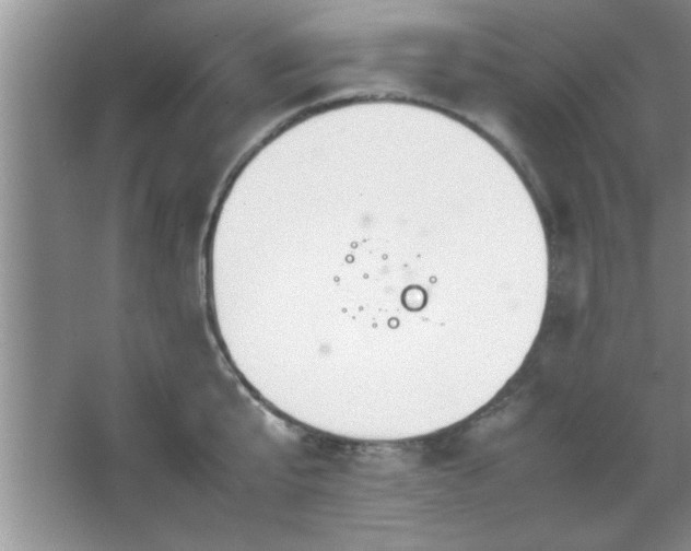 X0000067870807200604131234