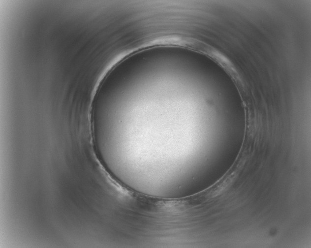 X0000067870808200604131234