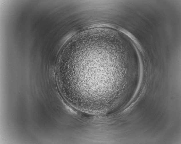 X0000067870809200604131234