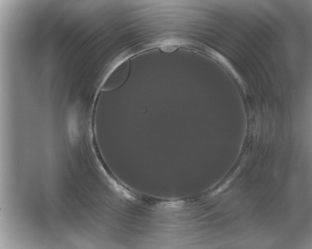 X0000067870810200604131234