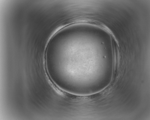 X0000067870811200604131234