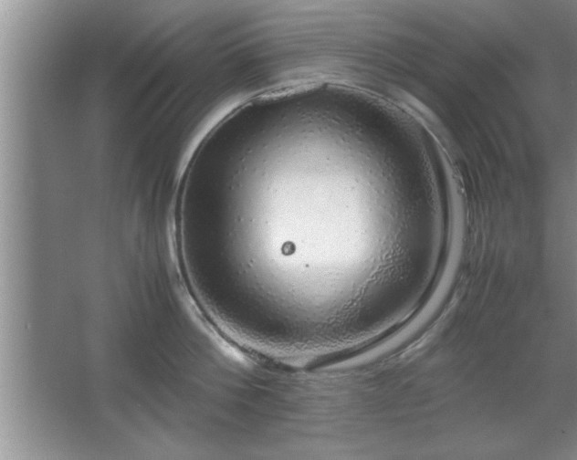 X0000067870812200604131234