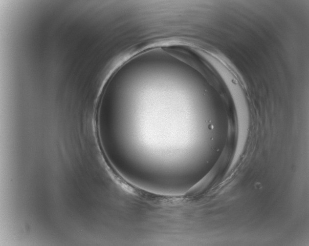 X0000067870813200604131234