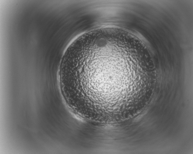 X0000067870814200604131234