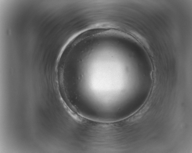 X0000067870816200604131234