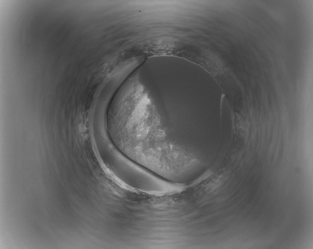 X0000067870818200604131234