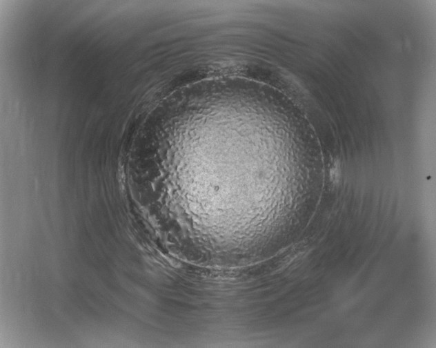 X0000067870819200604131234