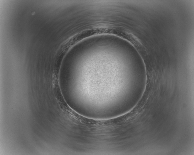 X0000067870821200604131234