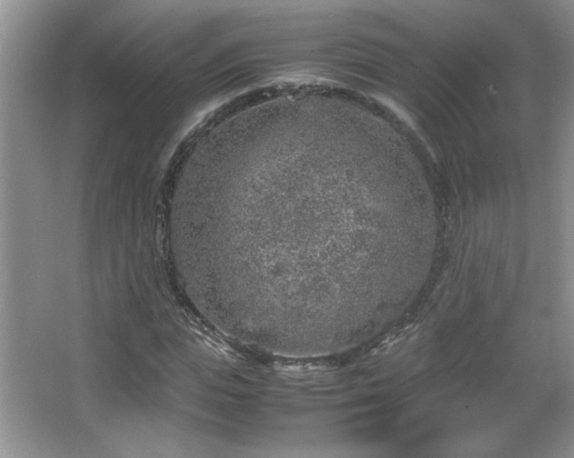 X0000067870823200604131234