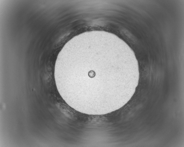 X0000067870824200604131234