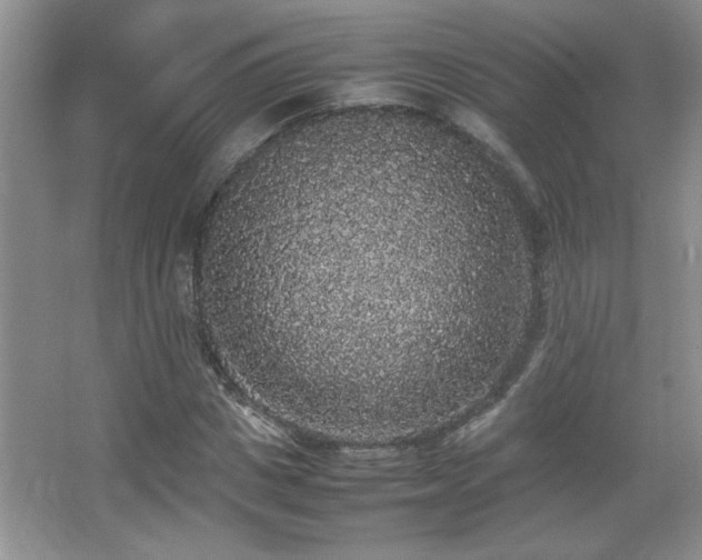 X0000067870825200604131234