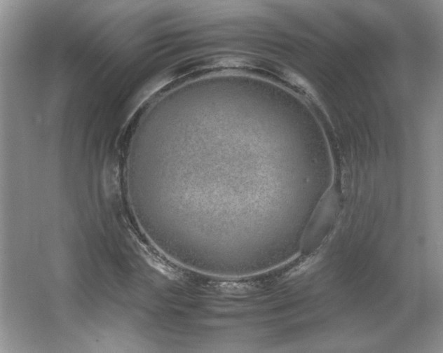 X0000067870827200604131234