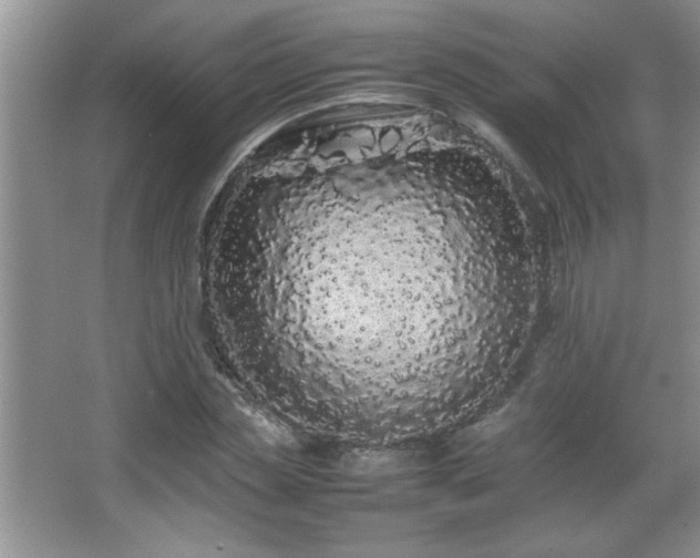 X0000067870829200604131234