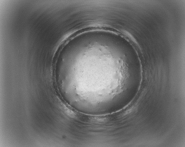 X0000067870831200604131234