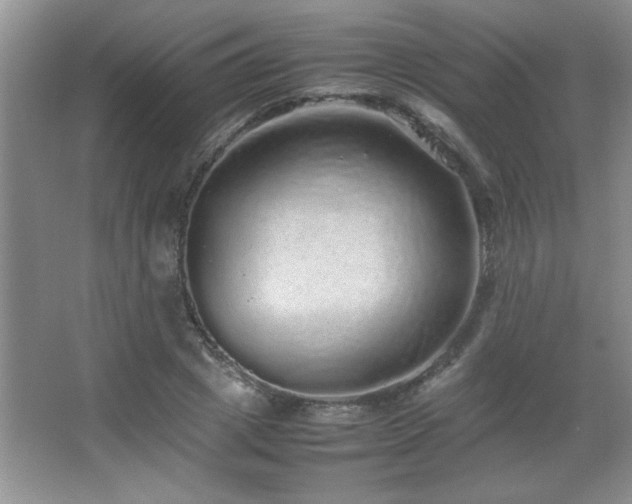 X0000067870833200604131234