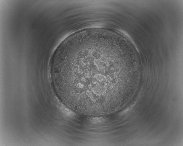 X0000067870835200604131234